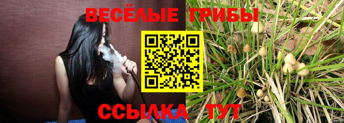 Галлюциногенные грибы мицелий  Вход с VPN  наркота  Камышин 